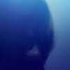 billieeilish Altpins Profile Picture