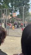 camilla_classy Altpins Profile Picture