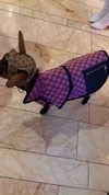 camilla_classy Altpins Profile Picture