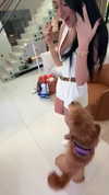 camilla_classy Altpins Profile Picture
