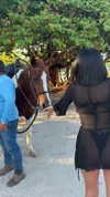 camilla_classy Altpins Profile Picture