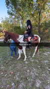 camilla_classy Altpins Profile Picture