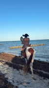 camilla_classy Altpins Profile Picture