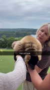 camilla_classy Altpins Profile Picture