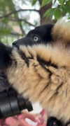 camilla_classy Altpins Profile Picture