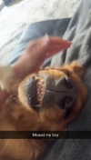 carlyhartxx Altpins Profile Picture