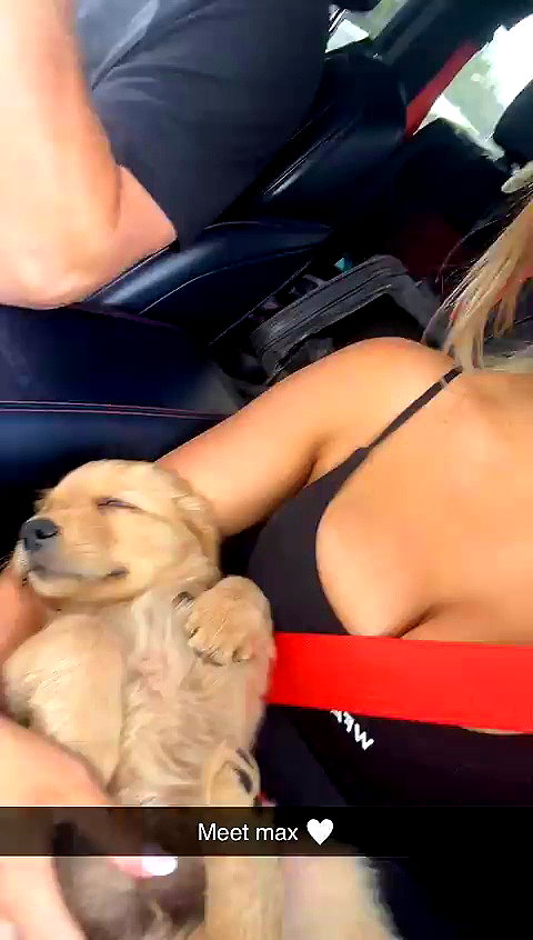 carlyhartxx archive video preview
