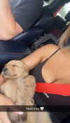 carlyhartxx Altpins Profile Picture