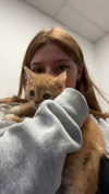 carmmieecat Altpins Profile Picture
