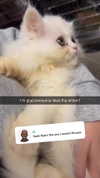 carmmieecat Altpins Profile Picture