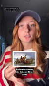 carmmieecat Altpins Profile Picture