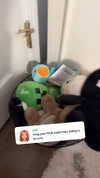 carmmieecat Altpins Profile Picture