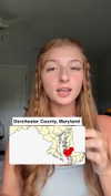 carmmieecat Altpins Profile Picture