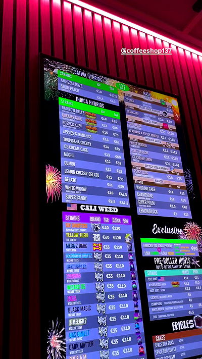 bakedsloths bakedsloths archive video