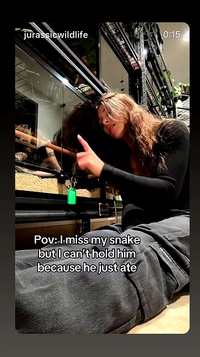 hanabellask8 hanabellask8 archive video