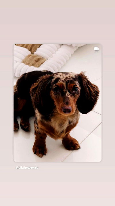 _._dianush._ _._dianush._ archive video