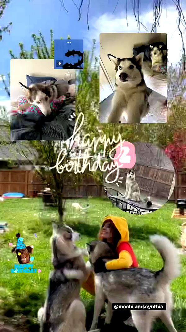 _animechika_ archive video preview