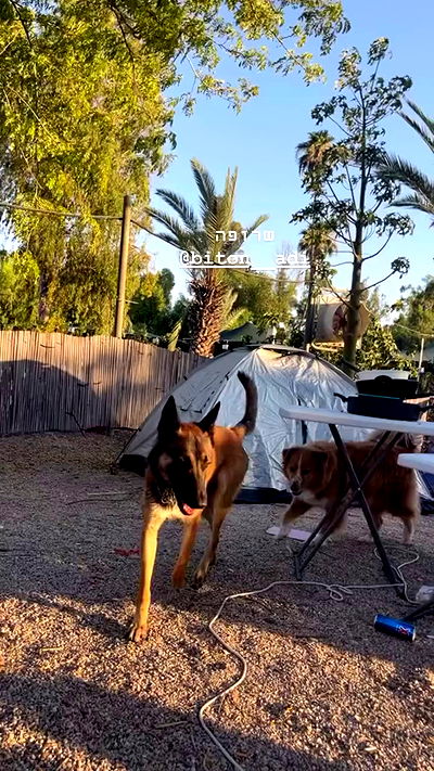 biton__adi biton__adi archive video