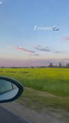sonya_fisher_ Altpins Profile Picture