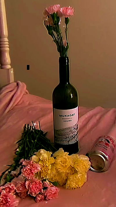 v.qx v.qx archive video