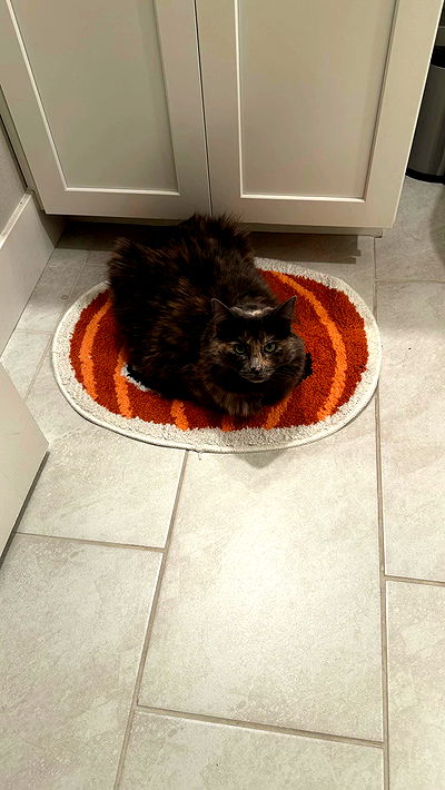 smeepsx smeepsx archive video