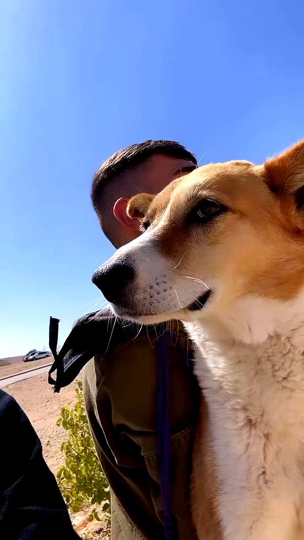 dustheadd archive video preview