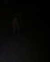 astarwbry_ Altpins Profile Picture