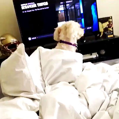 miakhalifa miakhalifa archive video