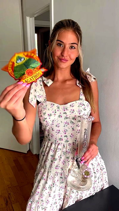 bakedsloths bakedsloths archive video