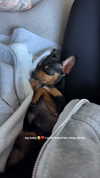 jenny.kaly Altpins Profile Picture