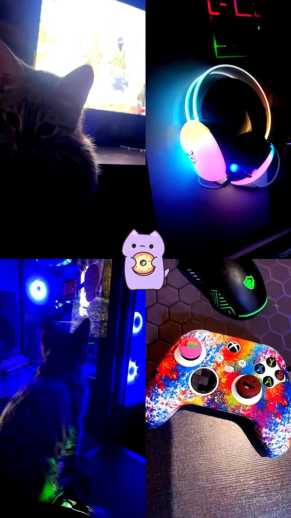 imeownaz archive video preview