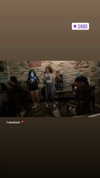 tami_shemesh Altpins Profile Picture