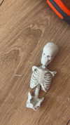 maycohen8 Altpins Profile Picture