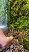 aleiisha.piixiie Altpins Profile Picture