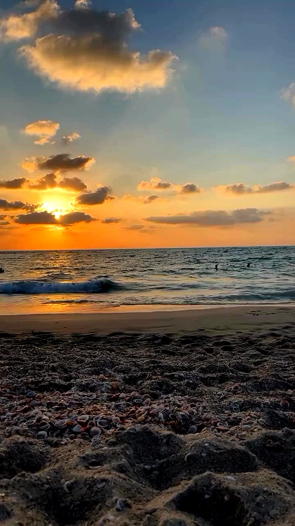 yael_p_16 archive video preview