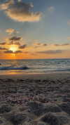 yael_p_16 Altpins Profile Picture