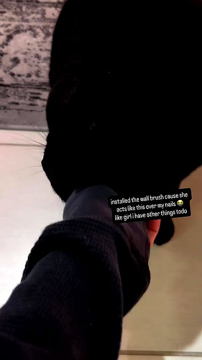 suikomuu suikomuu archive video