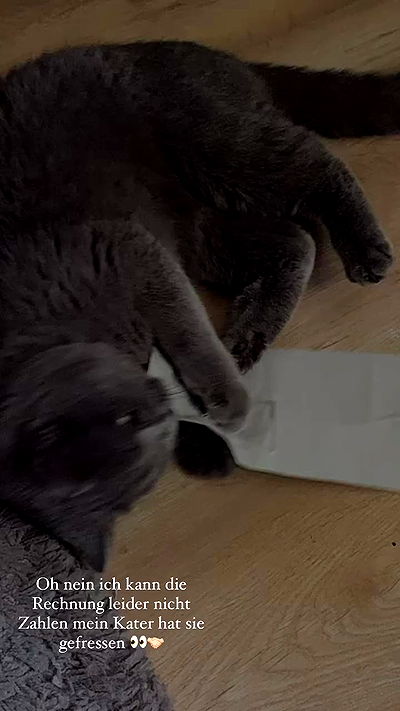 yoo.mon yoo.mon archive video