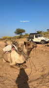 noa_mendel_ Altpins Profile Picture