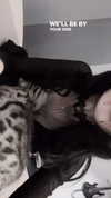 nylthria Altpins Profile Picture