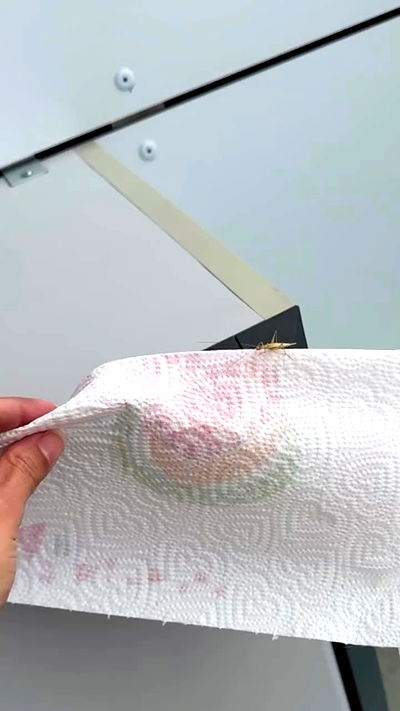 kasumi_sen kasumi_sen archive video