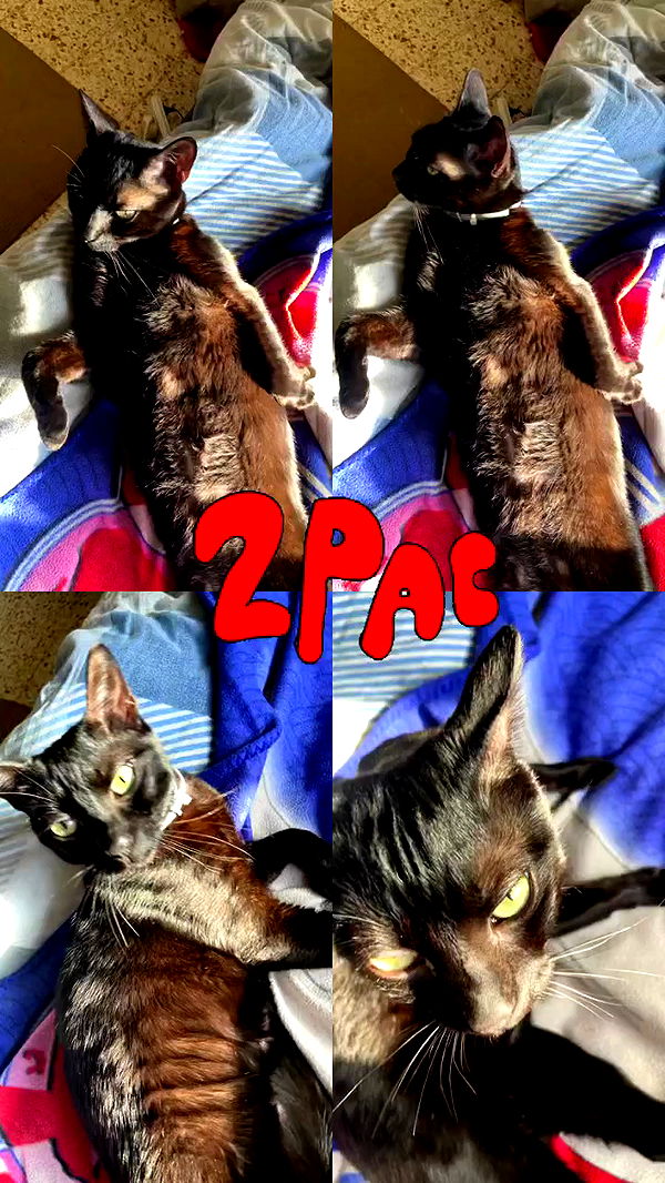 feelbetterinmysweater archive video preview