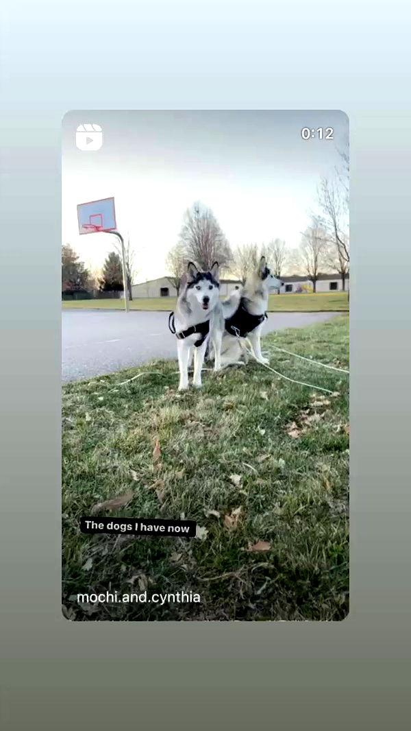 _animechika_ archive video preview