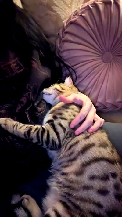 laurinchhhe laurinchhhe archive video