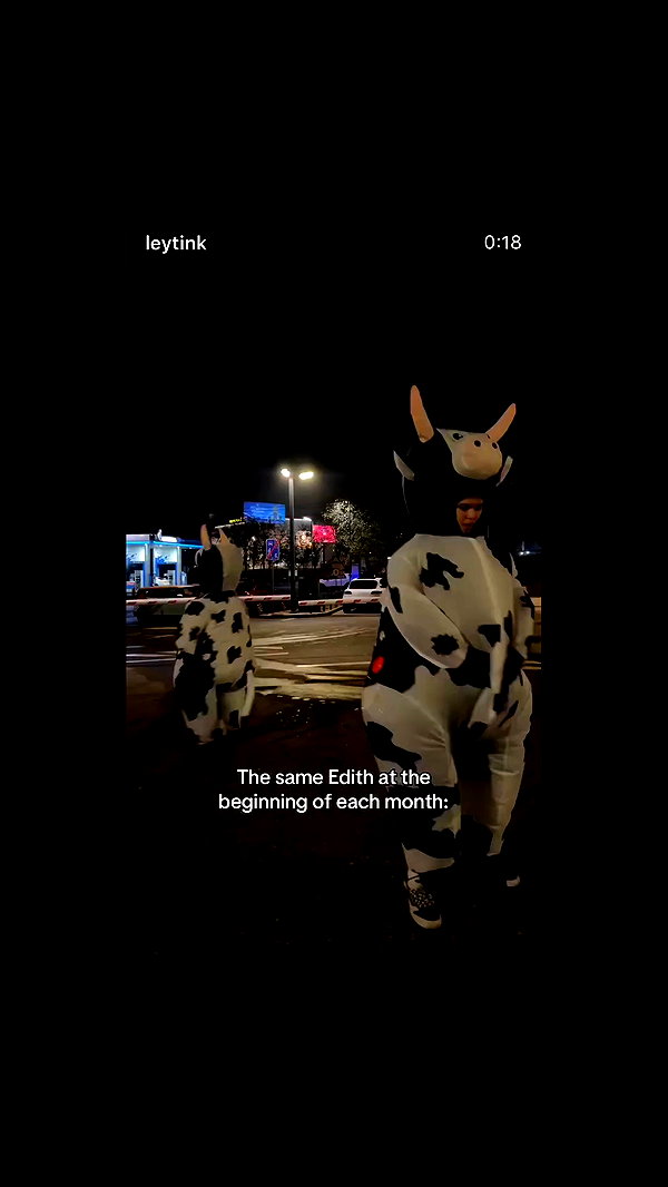 leytink archive video preview