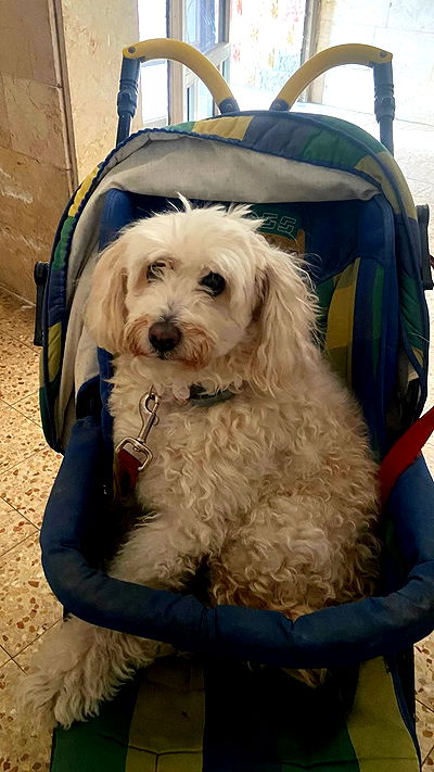 feelbetterinmysweater feelbetterinmysweater archive video