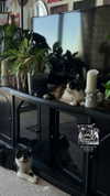 estr3iia Altpins Profile Picture