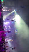 rinnibunnyy Altpins Profile Picture