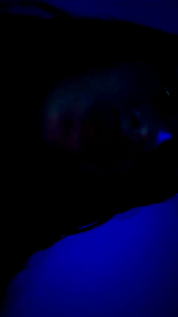 _lil_noa_ archive video preview