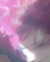 koolthinggg Altpins Profile Picture